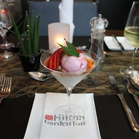 Hilton Garden Inn Frankfurt City Centre 